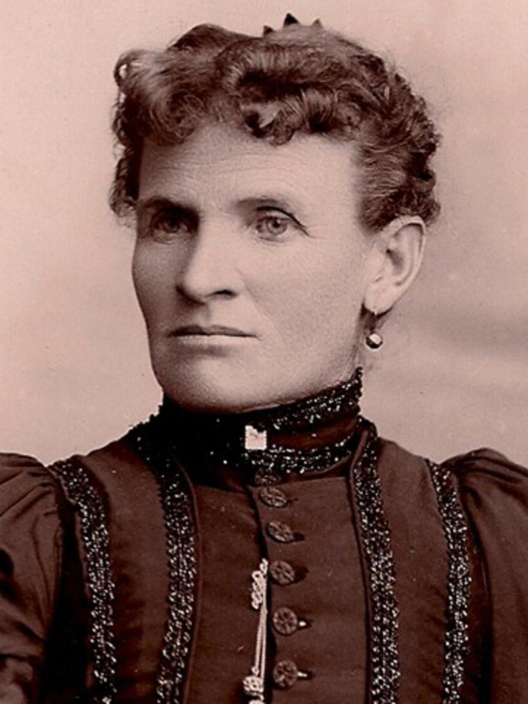 Permelia Babcock (1837 - 1916) Profile